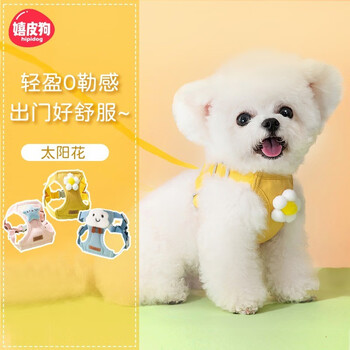 Hippie dog (hipidog) puppy leash vest type small puppy teddy bichon pomeranian celebrity harness dog chain dog walking rope