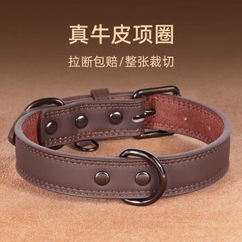 Didogpet premium cowhide dog collar with engraved anti-lost collar for small and medium-sized dogs, teddy co foundation shiba inu genuine leather neck collar, brown first-layer cowhide collar, l size (recommended 20-40 pounds)