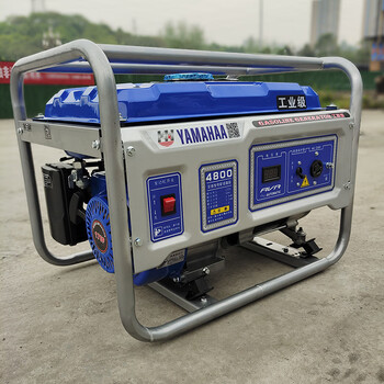Lism gasoline generator 3kw 5kw8kw10kw 220v380v three-phase dual voltage kn4800