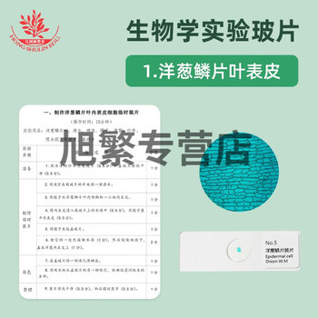 Junior high school biology synchronous teaching experiment observation slide specimen is clear and easy to observe mold slide human blood smear human blood smear onion scale leaf epidermis mount