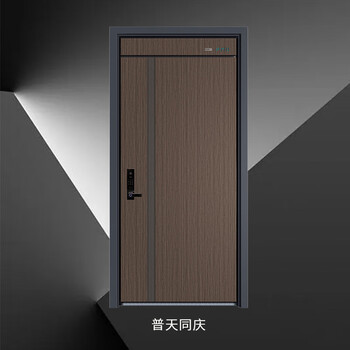 Pumandun pmd-putian tongqing entry door security door anti-theft door