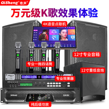 Qisheng professional pure power stage performance home ktv audio set full set of karaoke machine all-in-one touch screen villa living room home theater equipment set home karaoke speaker pure power level 12-inch set + four microphones + 12-inch cannon