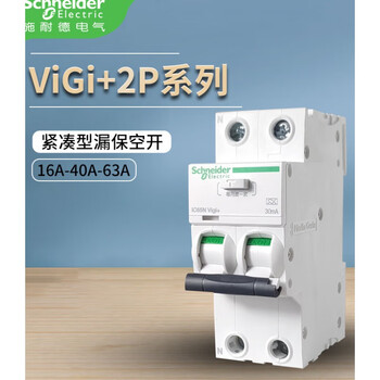 Ic65nvigi+2p63a integrated leakage protector household main switch occupies 2 positions leakage protection space switch 2p 16a