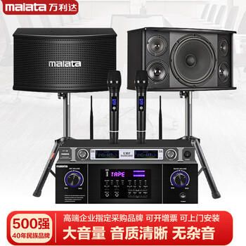 Malata professional audio set card package speaker home conference stage performance ktv kara o bt-110 10-inch five-unit three-way audio 2
