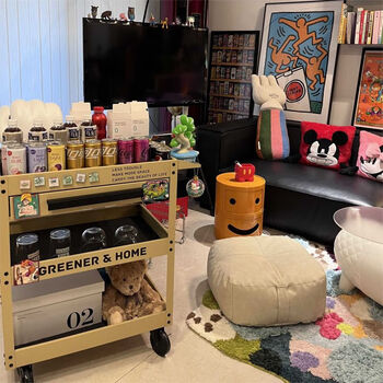 Greener trolley, light luxury, ins style, cafe, library, studio, flower shop, household tools, flagship pro single-drawer trolley-yellow