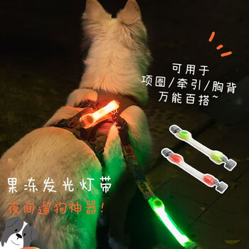 Dogstory pet luminous safety light, jelly versatile with led luminous pendant, waterproof, anti-lost dog, bright dog walking night light, white shell colorful light, single pack with own battery + 2 spare batteries