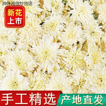 Hongxuan manwei 2023 new flower huangshan white chrysanthemum tea 500g white chrysanthemum new flower huangshan white chrysanthemum tea tribute chrysanthemum bulk selected huangshan white chrysanthemum 500g