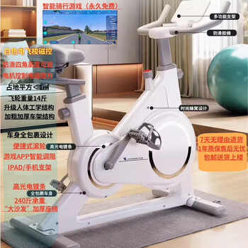 Yaconstar yakang's new magnetically controlled silent spinning bicycle home small exercise bicycle indoor sports white smart shuttle magnetically controlled model rechargeable model