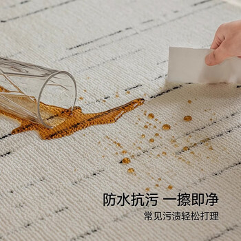 Cartifiya waterproof, non-slip and anti-stain living room carpet xinsongxue 240*340cm light luxury style