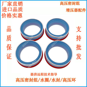 Renjuyi water jet accessories water ring water seal high pressure ring dynamic seal water seal water ring water jet booster accessories (four sets) 1 pack