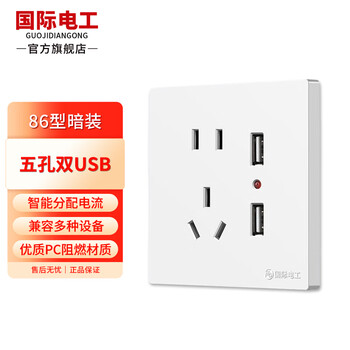 International electrician type 86 concealed dual usb socket panel five-hole with switch household wall smart device fast charging type-c large spacing two or three plugs concealed five-hole dual usb white