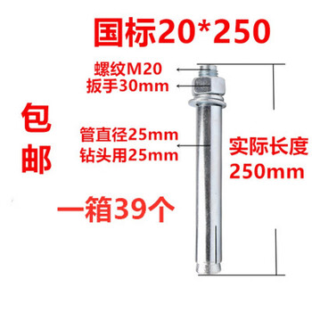 Yangguan factory direct sales galvanized national standard expansion screw extended extra long expansion bolt m8m10m12 iron expansion screw light blue 20*250 (39 pcs)