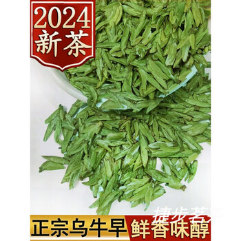 Yanhai mid-autumn festival wenzhou yongjia special mingqian green tea new tea green tea tea bag tea bulk first pick 250g two cans first pick wu niu zao