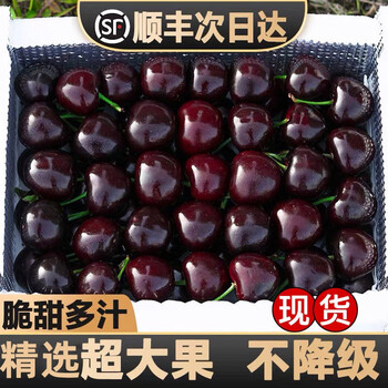 Caiti chile imported cherries, fresh fruits for pregnant women, large cherries, seasonal large fruit gift box, seasonal whole box, 2.8 catties (net weight) 4j 32mm (inclusive)-34mm (inclusive)