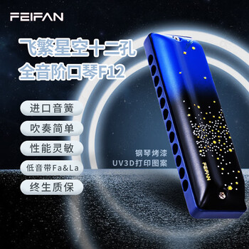 Feifan feifan 12-hole blues harmonica adult diatonic professional model beginner entry-level elementary school student special instrument 12-hole c key recommended for beginners
