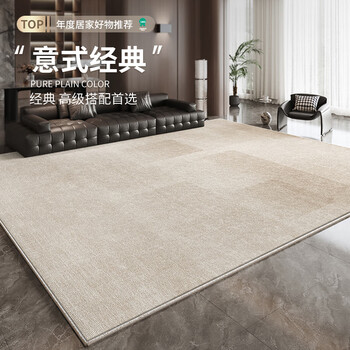 Budis large carpet living room loop velvet sofa home italian light luxury high-end thickened no-wash wipeable waterproof gray anti-fouling condensed loop velvet-morgan 200*350cm antibacterial and anti-fouling