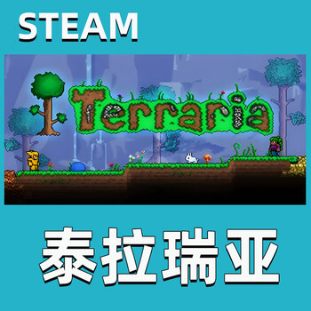 Steam terraria terraria national gift genuine pc chinese game novice edition