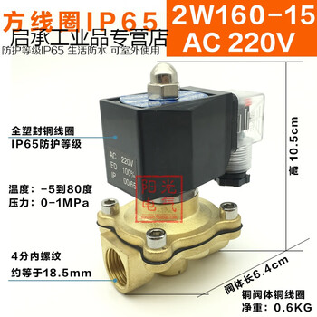 Waterproof solenoid valve 2w160-15/2w200-20/250-25/4/6 points/1 inch/dn15/ waterproof ip652w160-15ac220v