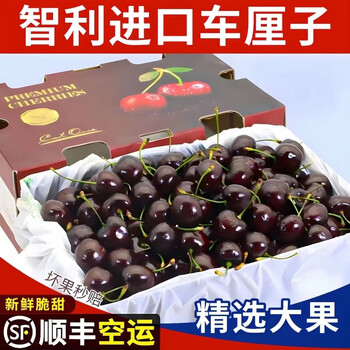 Chu chu spot sf air freight chilean cherries imported fresh new year gift box fresh fruit 5 jin (net weight) original box extra large fruit jjjj