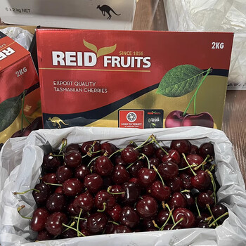 Australian cordia cherries fresh fruit black pearl large cherry 4 catties original sf free shipping 8 catties (net weight) original gift box * 2 boxes fruit king 4j single fruit 32-34mm
