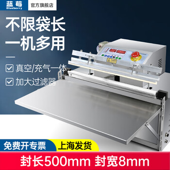 Blueberry fully automatic 500 type external vacuum packaging machine, commercial vacuum sealing machine, food vacuum packaging machine, 500 type electric-stainless steel i generation