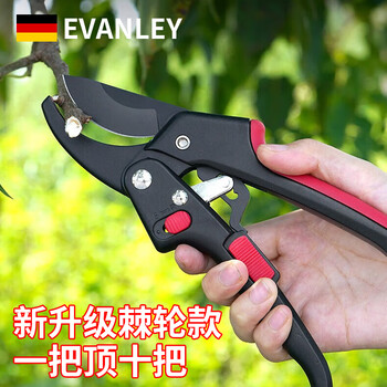 Evanley german branch pruning scissors, fruit tree pruning flower scissors, artifact, thick branch trees, garden tools, gardening special scissors, ratchet adjustment, sk5 steel teflon pruning shears