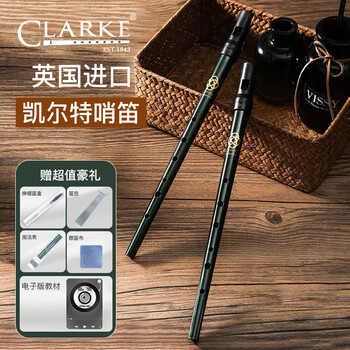 Clarke clark whistle irish tin whistle d key british original imported celtic recorder mouth flute instrument