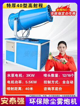 Renjuyi customized fog cannon machine industrial site dust collector environmental protection equipment diesel gasoline sprayer 30 meters high range dust removal fog including special ticket extra thick / fully automatic range 40 type