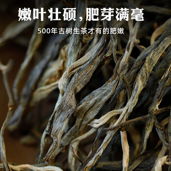 Tea 2024 nannuoshan 500 yunnan pu'er tea loose tea bama laozhai ancient tree raw tea 200g tea cake 201 (200g loose tea
