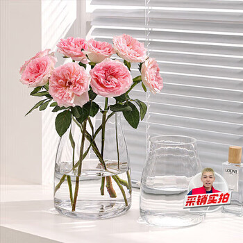 Fan yejia simple large-diameter glass vase high-end living room transparent water-raised flowers rose dining table flower arrangement ornaments