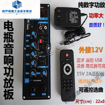 Square dance battery audio amplifier board 12v speaker with bluetooth radio recording remote control high power amplifier board + wire + remote control + adapter
