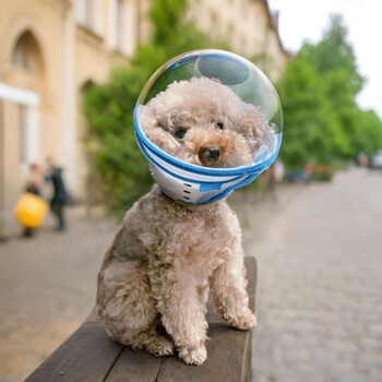 Bear daddy yiwang dog elizabeth collar lengthened and deepened hood muzzle anti-biting and anti-licking neck collar space hood adjustable small dogs light blue l size 7-11 catties cat / 5-8 catties dog