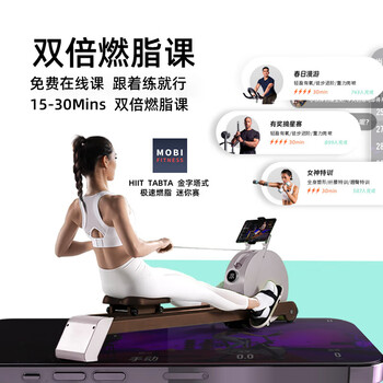 Intelligent magnetic control noise reduction rowing machine home aerobic fitness equipment rowing machine hush avocado green 32-speed spin hu hush gray 32-speed magnetic control solid wood double track