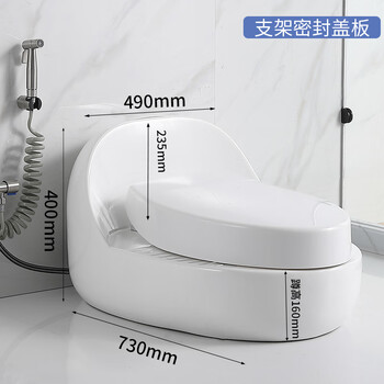 Modern squatting dual-purpose toilet one-in-one two-in-one squatting and sitting dual-purpose desktop squat toilet package installation b-type egg-shaped high-sitting sealed spray gun 305mm