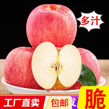 Yantai apple fruit qixia red fuji fresh fruit shandong specialty crisp sweet premium fruit net weight 2.5 jin (fruit diameter above 75mm)