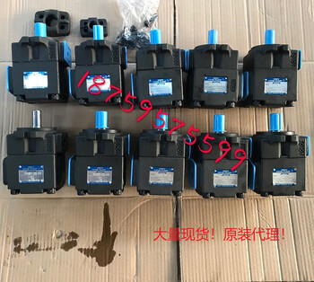Hongyi hongyi low noise vane pump pv2r1-8/10/14/17/19/23/25/28/31-fr oil pump complete specifications original agent fake one penalty ten