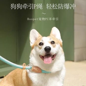 Huayuan pet tools (hoopet) dog traction rope p chain out training explosion-proof dog walking chain anti-breakaway large, medium and small dogs p rope dog walking pu leather traction khaki color rope length 1.5m # diameter 0.8cm