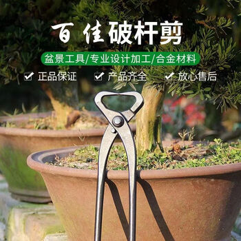 Runhuanian bonsai making tree tumor pruning gardening maintenance artifact ball joint shear pruning ball pliers old pile shape ball pruning shears medium broken rod pliers (210mm)