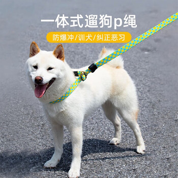 Cat sister wangdi dog leash one-type dog leash p rope lime green (2 meters * 2cm)