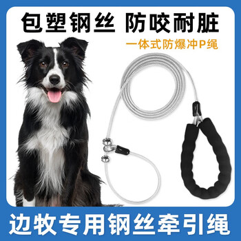Wami border collie special integrated traction rope large and medium-sized dog collar dog walking rope pet 1.8m collar 1.8m traction rope
