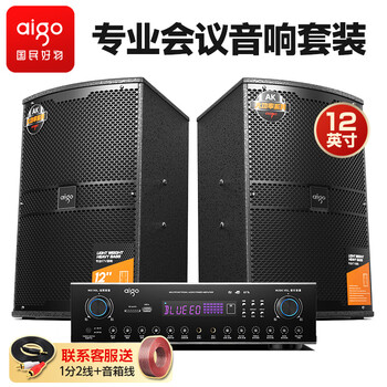 Patriot conference room audio set 12-inch small and medium-sized home ktv background training special stage gym speaker wall-mounted speaker