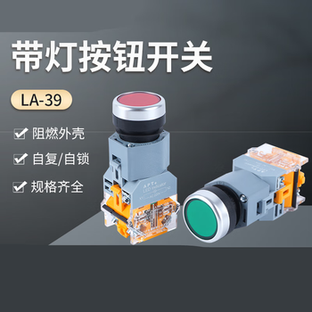 Yichen shanghai ergong apt self-reset button switch with light la39-b2-11d/g23 24v x green one open and one closed