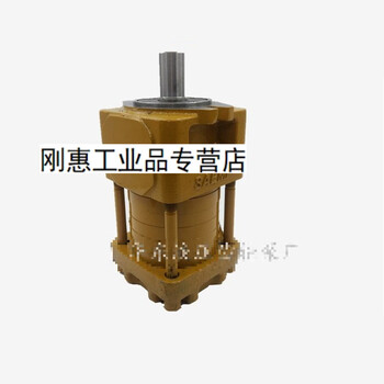 Huili customized internal gear pump hydraulic oil pump gear pump nt3-g20f nt3-g25f nt3-g32f nt5d80fnt5d100fnt5d12
