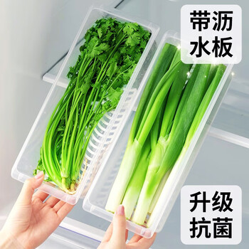 Home katei story japanese antibacterial onion ginger garlic storage box onion fresh box drain food grade long coriander refrigerator green onion segment box