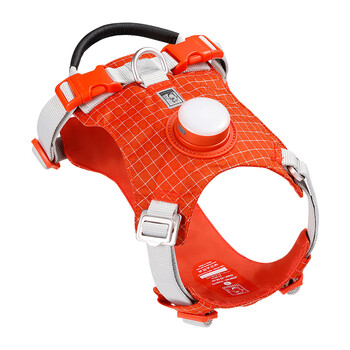 Truelove dog leash harness led night light outdoor pet vest type puppy medium and large dog walking rope chain orange l-chest 69-81cm (excluding leash)