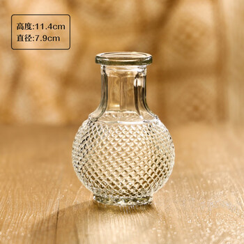 Vatican gatti nordic exquisite mini glass vase water-raised flowers decoration small vase flower ornaments small earth