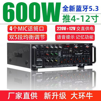 Shanyu 220v12v power amplifier home karaoke power amplifier high-power hifi remote control bluetooth eq equalization adjustment shanyu av326bt