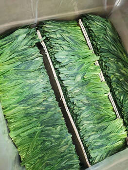 Tea 2024 new tea taiping houkui first-class bujian tea wholesale huangshan green tea origin bulk canned gift box one pound bulk