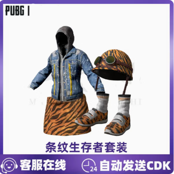 Pubg playerunknown's battlegrounds striped survivor clothing full set end game clothing clothing chicken skin redemption code cdk