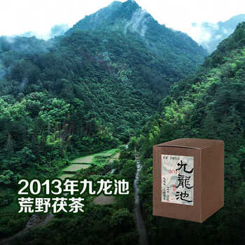 Little senior sister reviews tea 2013 jiulongchi golden flower fu tea 100g anhua dark tea standard